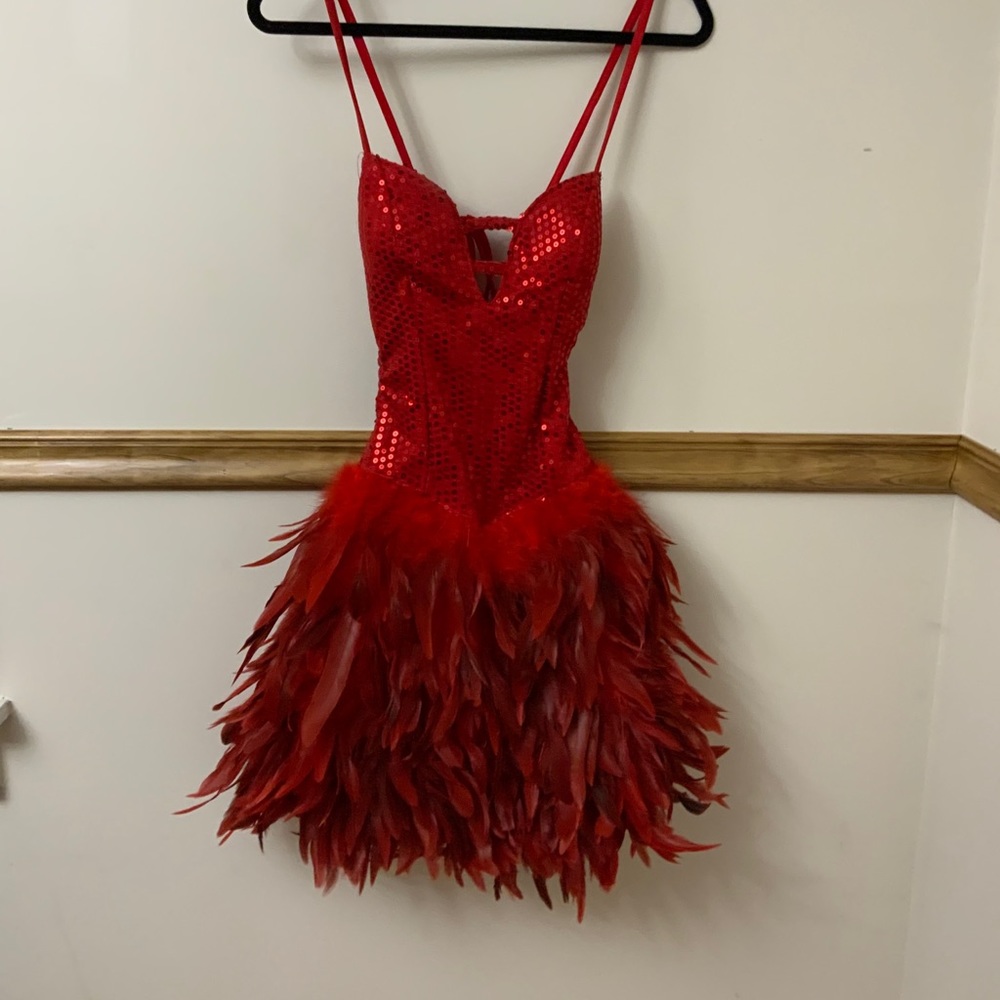 Red Feathered Costume Dress